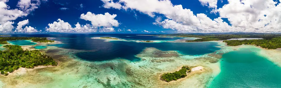 The Palau -Pledge