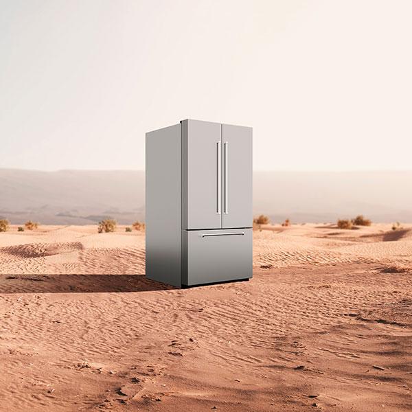 Fridgeconomics: Looking for Insights in -Unexpected Places